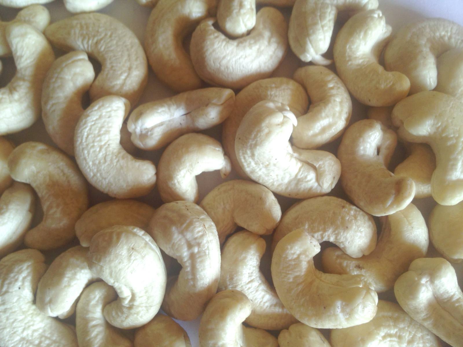 Cashew Kernels
